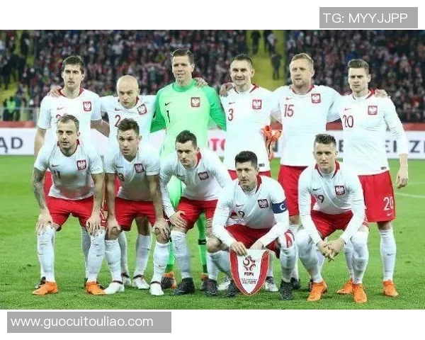 波兰足球明星在世界排名中的崛起与影响力分析